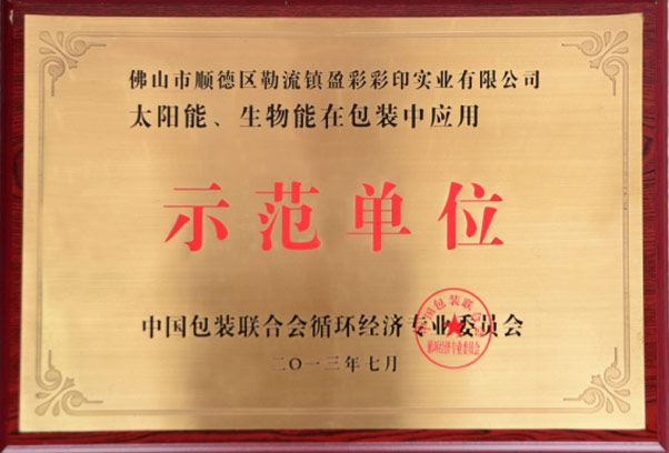 广东盈彩彩印实业有限公司